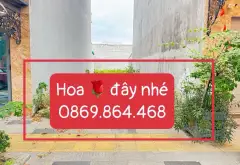 Cơ hội vàng sở hữu đất shophouse mặt tiền đường đôi kinh doanh sầm uất tại Hanaka Paris... Bán đất tại Từ Sơn, Bắc Ninh 02