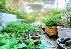 Bán nhà phố 3 tầng mặt tiền 4m tại khu tái định cư Sóng Thần, Dĩ An... Bán nhà mặt phố tại Dĩ An, Hồ Chí Minh 15