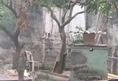 BÁN ĐẤT THANH AM , VỊ TRÍ ĐẸP , DIỆN TÍCH RỘNG OTO VÀO NHÀ . GIÁ 10.8 TỶ CÓ THƯƠNG LƯỢNG... Bán đất tại Việt Hưng, Hà Nội 21