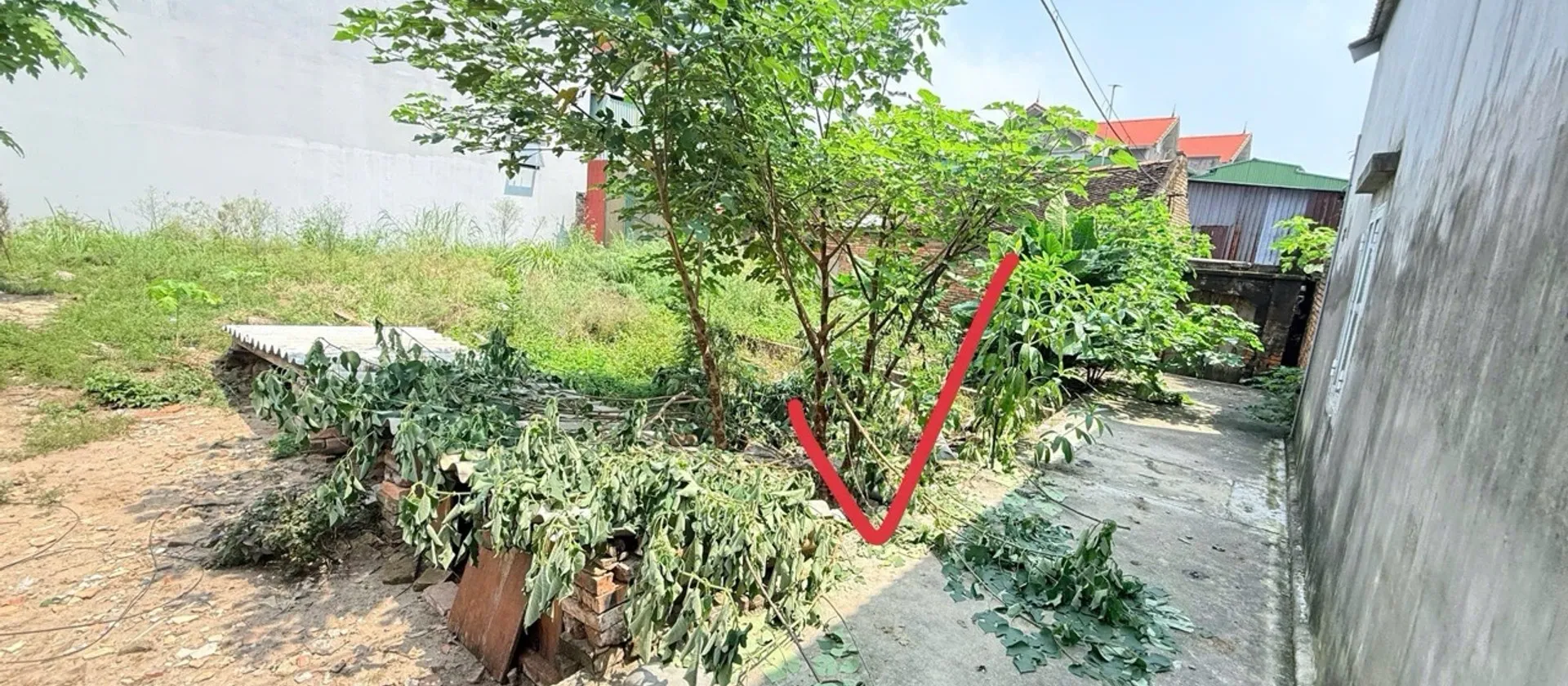 Bán đất 65m² mặt tiền 4.1m tại phường Từ Sơn, Bắc Ninh... Bán đất tại Từ Sơn, Bắc Ninh 01