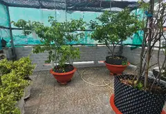 Nhà phố sang trọng, mặt tiền rộng tại Bình Tân, thuận tiện kinh doanh... Bán nhà mặt phố tại Bình Tân, Hồ Chí Minh 05
