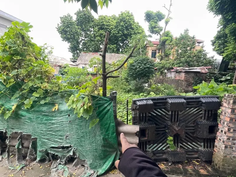 Bán Đất Phân Lô Thôn Ngọc Lịch - Mặt Tiền 4.5m, Giá 2.85 Tỷ, Pháp Lý Rõ Ràng... Bán đất tại Như Quỳnh, Hưng Yên 01