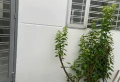 Bán nhà 2 tầng hẻm 3m Đất thánh-Quận Tân Bình, diện tích 89m2... Bán nhà riêng tại Tân Hòa, Hồ Chí Minh 03