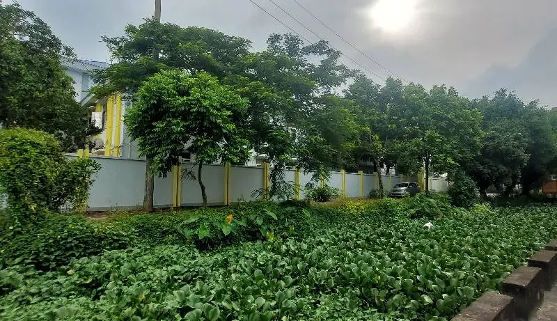 Cơ Hội Vàng Sở Hữu Đất Rộng Vị Trí Đẹp Tại Đông Mỹ... Bán đất tại Nam Phù, Hà Nội 01