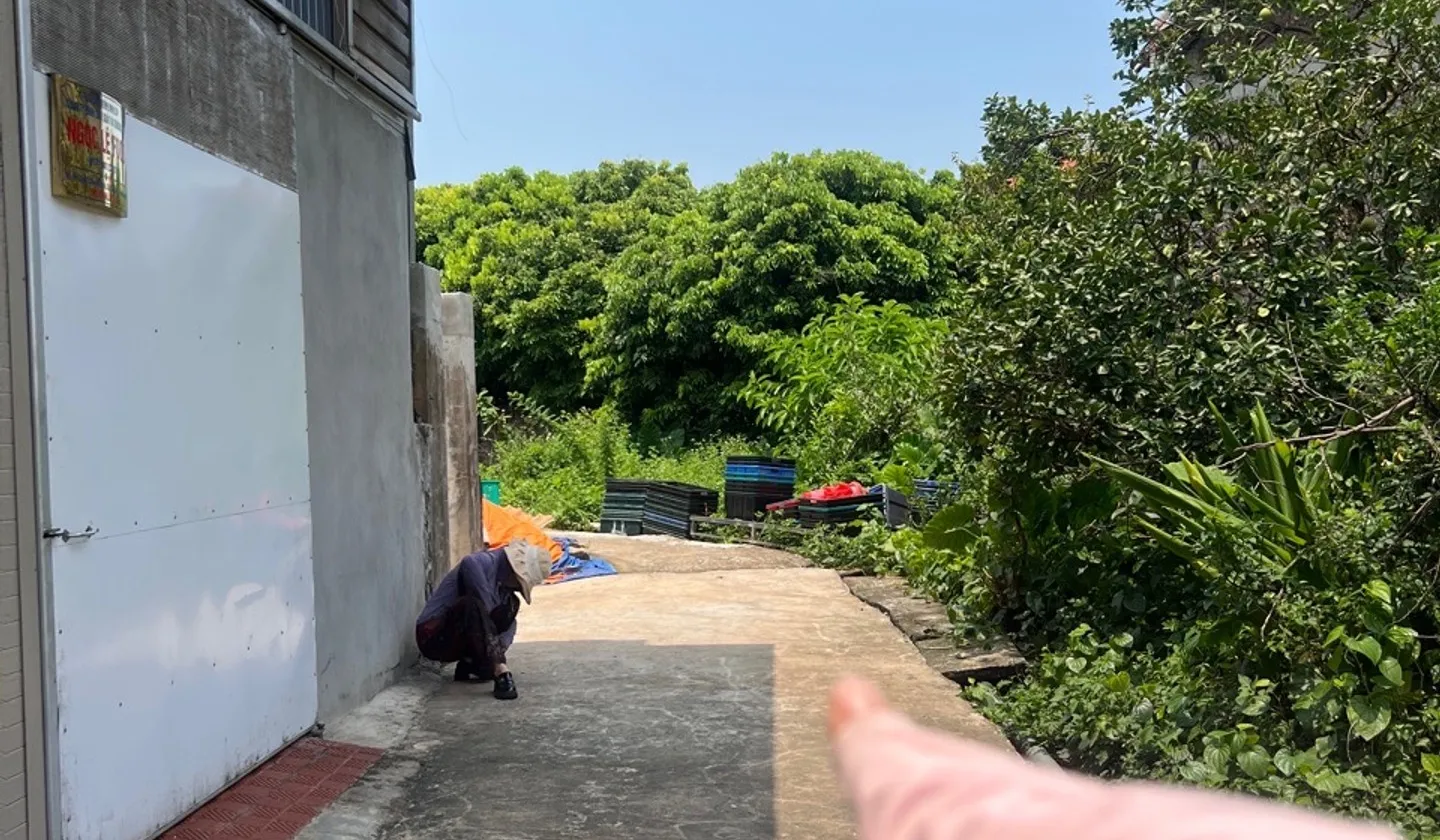 Đất lô góc 3 mặt thoáng Văn Giang - Cực hiếm, giá tốt chỉ 300m vành đai 4 cầu mễ sở... Bán đất tại Văn Giang, Hưng Yên 01