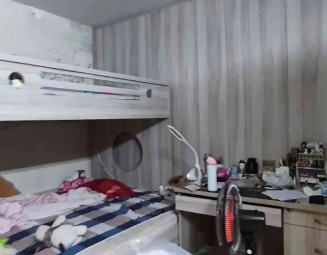 Kết cấu: 4 tầng, chủ đang ở và làm kho sản suất Kinh Doanh.
- Nhà hiện tại 4PN Master + Phòng Thờ... Bán nhà mặt phố tại An Lạc, Hồ Chí Minh 01