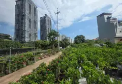Bán đất lô góc 3 mặt thoáng tại Phụng Công Ecopark... Bán đất tại Phụng Công, Hưng Yên 03
