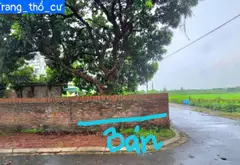 KHÔNG CÒN MẢNH THỨ 2.
 THUẬN AN, LÔ GÓC Ô TÔ TRÁNH QUÁ ĐẸP CHỈ 💲2,95Đ... Bán đất tại Thuận An, Hà Nội 02