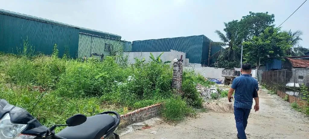Đất đẹp xã Ninh Sở giá tốt, chốt nhanh còn giảm giá... Bán đất tại Hồng Vân, Hà Nội 01
