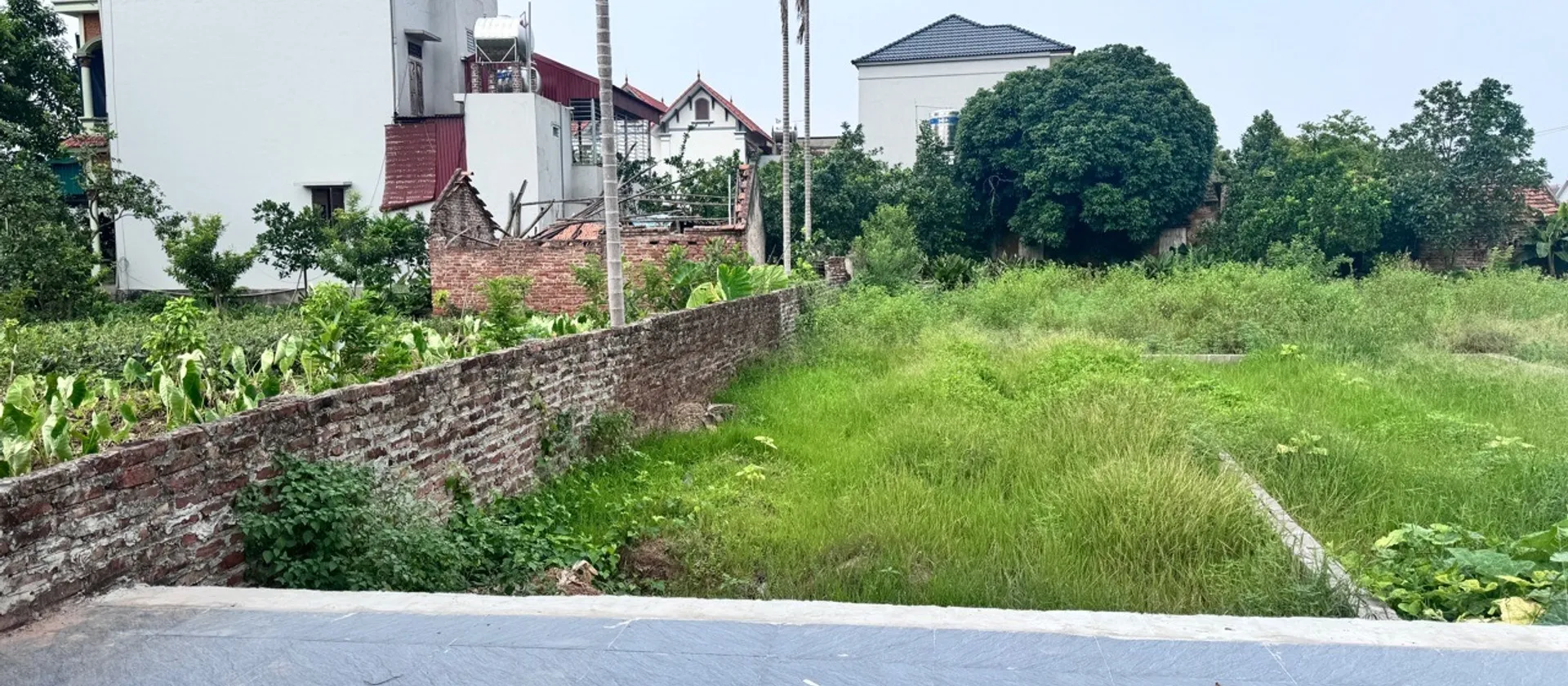 🔥MẢNH ĐẤT - VUÔNG NHƯ TỜ A4 - PHÂN LÔ VỈA HÈ - GIÁ ĐẦU TƯ🔥🔥

💥💥Mô tả:Mảnh đất cực đẹp, vuông n... Bán đất tại Triệu Việt Vương, Hưng Yên 01