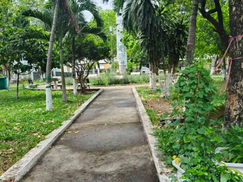 Nhà mặt phố 97.5m2, 6.5m mặt tiền, đối diện công viên tại Quận 12... Bán nhà mặt phố tại Tân Thới Hiệp, Hồ Chí Minh 01