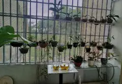 Căn hộ góc 3 mặt thoáng tại Tân Vĩnh Lộc đáng sở hữu ngay... Bán căn hộ chung cư tại Tân Vĩnh Lộc, Hồ Chí Minh 02