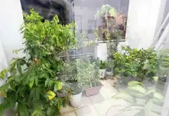 Nhà 4 tầng 59m2 gần mặt tiền Âu Dương Lân giá 9.6 tỷ... Bán nhà riêng tại Chánh Hưng, Hồ Chí Minh 04