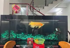 Nhà nhỏ trung tâm thành phố, chủ tự xây chắc chắn, cơ hội không thể bỏ qua... Bán nhà riêng tại Lê Chân, Hải Phòng 16