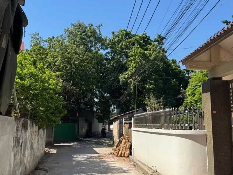 Bán đất thôn Trai Túc, Hưng Yên - 120m², gần Vinhomes Ocean Park - 5.1 tỷ... Bán đất tại Như Quỳnh, Hưng Yên 01