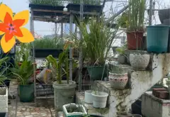🛎️ NHÀ 3 LẦU BTCT-LÊ VĂN LƯƠNG HIỆP PHƯỚC TPHCM (Xã Nhơn Đức NB cũ) 4.9 tỷ... Bán nhà riêng tại Hiệp Phước, Hồ Chí Minh 14