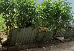 Đất hiếm trung tâm Đông Anh, vị trí vàng chờ chủ mới... Bán đất tại Thư Lâm, Hà Nội 04