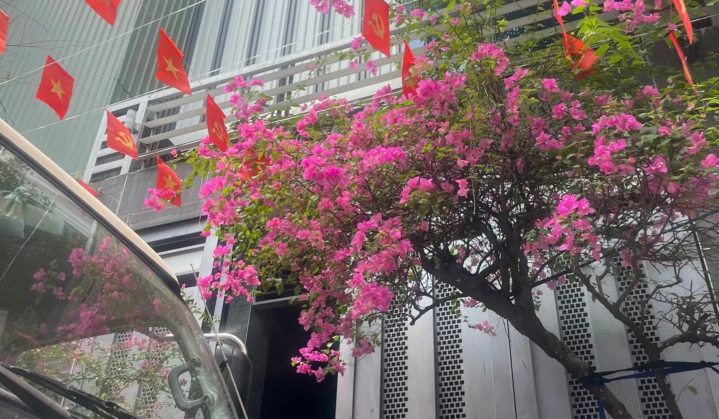 Bán nhà 7 tầng mặt tiền rộng tại quận Tây Hồ... Bán nhà riêng tại Bảy Hiền, Hồ Chí Minh 01