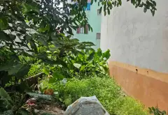 Đất Phú Thượng 50m² ngõ rộng ô tô vào, giá tốt... Bán đất tại Phú Thượng, Hà Nội 01