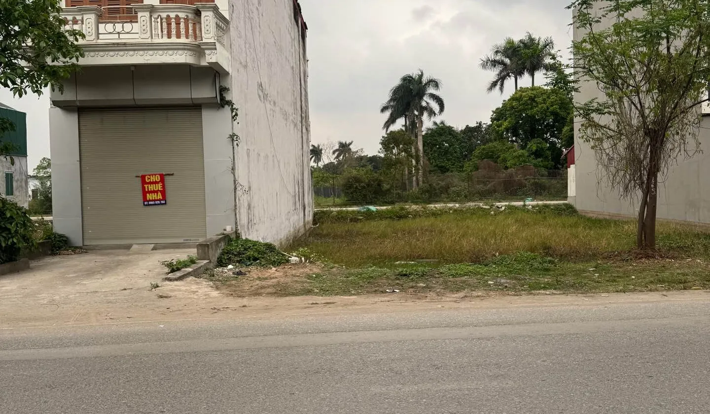 Đất kinh doanh đỉnh ngay khu vực Vin Olympic... Bán đất tại Ngọc Hồi, Hà Nội 01