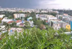 Bán căn hộ chung cư 2 phòng ngủ tại Tân Tạo, Bình Tân, diện tích 95 m²... Bán căn hộ chung cư tại Tân Tạo, Hồ Chí Minh 06