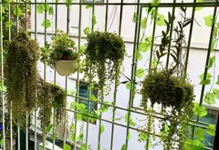 Tầng 3 Tập thể Bê Tông Chèm ngõ 104B Thuỵ Phương 23/80m2 2.65 tỷ... Bán căn hộ chung cư tại Đông Ngạc, Hà Nội 09