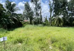 Đất Mặt Tiền Đô Thị Phát Triển - Cơ Hội Vàng Cho Nhà Đầu Tư... Bán đất tại An Lạc, Hồ Chí Minh 04