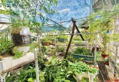 Cơ hội cực hiếm sở hữu nhà 4 tầng lô góc trung tâm Bà Hạt với giá tốt... Bán nhà riêng tại Vườn Lài, Hồ Chí Minh 03