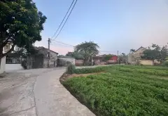 Bán đất ô tô tránh, gần UBND, trường học, khu công nghiệp tại xã Xuân Cầm, Bắc Ninh... Bán đất tại Xuân Cẩm, Bắc Ninh 06