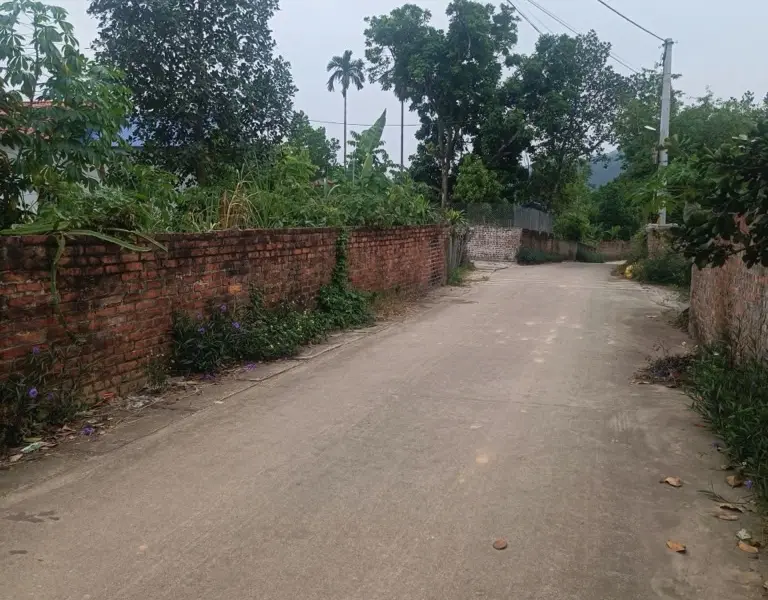 Bán đất thổ cư và đất trồng lâu năm tại xã Bắc Sơn, diện tích lớn, mặt tiền rộng... Bán owner_side tại Trung Giã, Hà Nội 01