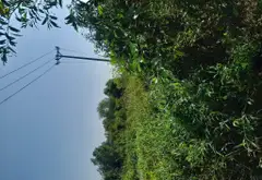 Bán nhà riêng diện tích lớn tại xã Xuân Thới Sơn, Hóc Môn... Bán nhà riêng tại Xuân Thới Sơn, Hồ Chí Minh 08