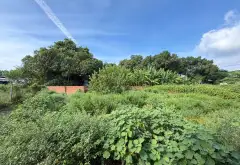 Bán 179m đất đường xe hơi Lê Lợi, Hóc Môn, 2.x... Bán nhà riêng tại Hóc Môn, Hồ Chí Minh 04