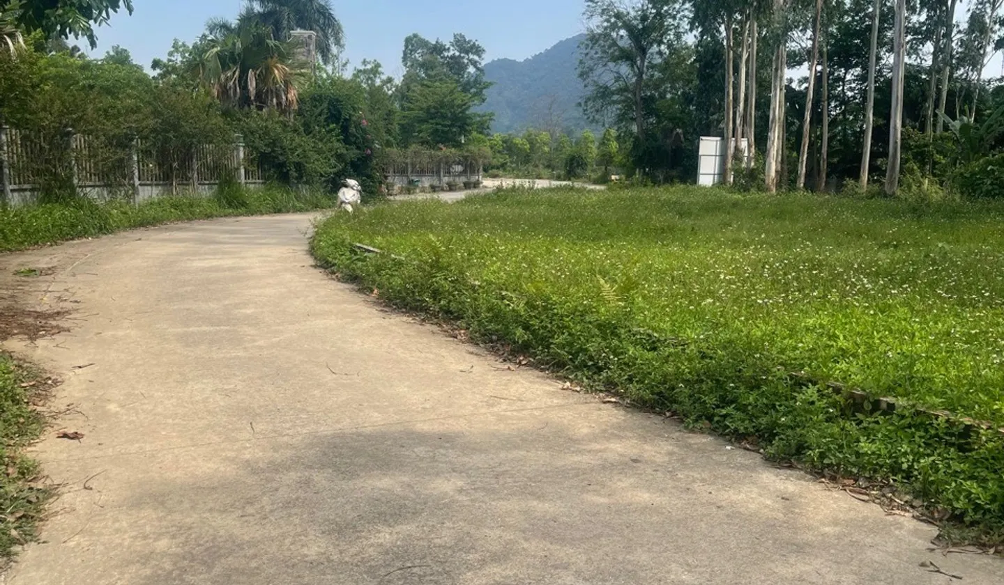 Bán đất thổ cư khu vực Thanh Hà, Trung Giã, Sóc Sơn, Hà Nội... Bán đất tại Trung Giã, Hà Nội 01