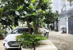 Nhà 3 tầng 56m2 Quận 2, đối diện công viên, đường rộng 10m - 0918604219 C.Loan... Bán nhà mặt phố tại Bình Trưng, Hồ Chí Minh 03