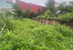 Bán đất thổ cư 51m² ngõ ô tô xã Quang Minh Mê Linh... Bán đất tại Quang Minh, Hà Nội 04