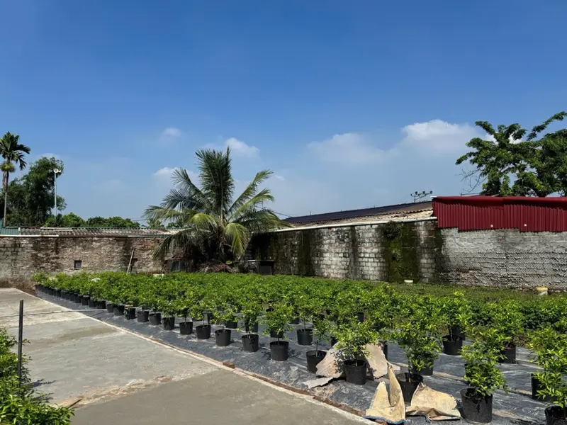 Bán đất thôn AB diện tích 44.9 m² gần khu vực sân vận động, pháp lý sổ đỏ... Bán đất tại Văn Giang, Hưng Yên 01