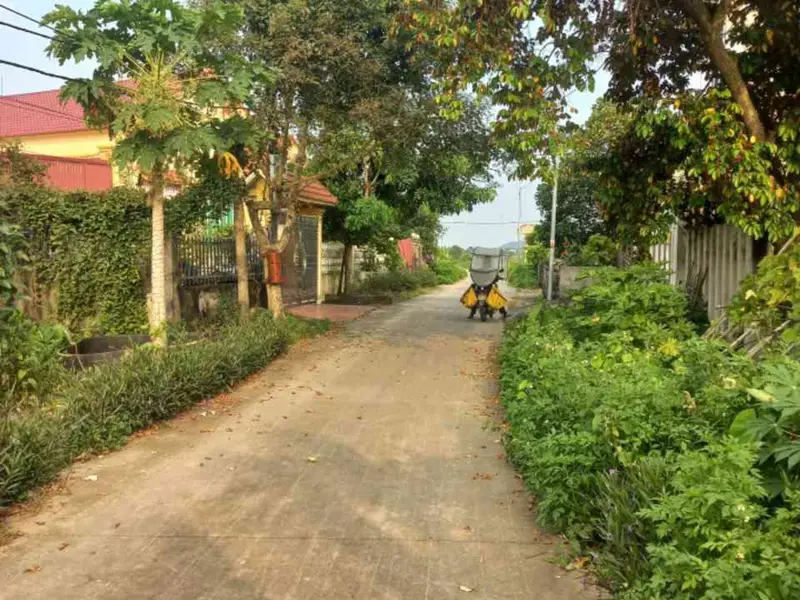 Cơ hội sở hữu đất ô tô qua nhà tại An Thái, An Lão Hải Phòng - Vị trí đắc địa đáng giá đầu tư ngay... Bán đất tại An Lão, Hải Phòng 01