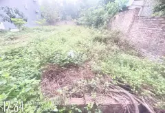 Bán đất 89,8m2 tại Bến Trung Bắc Hồng giá 3,42 tỷ đồng... Bán đất tại Phúc Thịnh, Hà Nội 03
