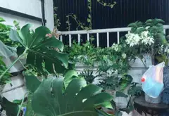 Căn hộ góc 3 mặt thoáng hiếm có tại Linh Đàm giá tốt đáng sở hữu ngay... Bán căn hộ chung cư tại Hoàng Liệt, Hà Nội 06
