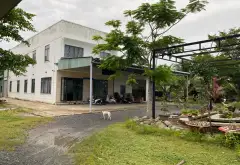 Cơ hội có một không hai: Nhà mặt phố kết hợp xưởng lớn sát dự án Vinhomes, mặt tiền 65m... Bán nhà mặt phố tại Bà Điểm, Hồ Chí Minh 01