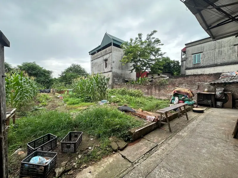 Cơ Hội Sở Hữu Đất Phân Lô Vị Trí Vàng Tại Thôn Tam Lư Giá Tốt... Bán đất tại Đồng Nguyên, Bắc Ninh 01