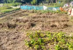 📣 LÔ ĐẤT ĐẸP – VỊ TRÍ TIỆN ÍCH | 2,3 TỶ... Bán đất tại Bồng Lai, Bắc Ninh 02