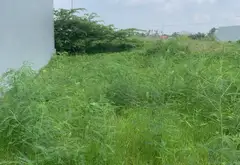 Bán đất nền thôn 5 Thủy Sơn, Thủy Nguyên, diện tích 64.2m², pháp lý rõ ràng... Bán đất tại Thủy Nguyên, Hải Phòng 05