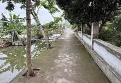 Mảnh Đất Vàng Phân Lô Mặt Tiền Khủng Gần KCN Tràng Duệ, Cơ Hội Vàng Đáng Sở Hữu... Bán đất tại An Dương, Hải Phòng 06