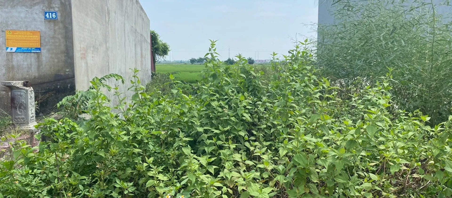 Cơ hội hiếm có sở hữu đất mặt phố rộng tại Lạc Xá, giá tốt đầu tư sinh lời... Bán đất tại Quế Võ, Bắc Ninh 01