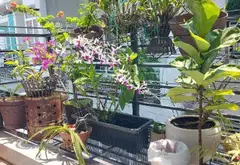 Bán nhà 3 tầng 44m² hướng Đông Nam tại Tân Phú, giá 6,4 tỷ... Bán nhà riêng tại Tây Thạnh, Hồ Chí Minh 13