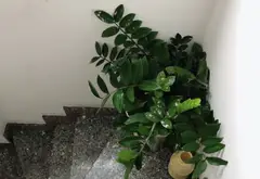 Mặt tiền đỉnh Nguyễn Đình Khơi - Nhà 5 tầng sẵn kinh doanh... Bán owner_side tại Tân Sơn Nhất, Hồ Chí Minh 15