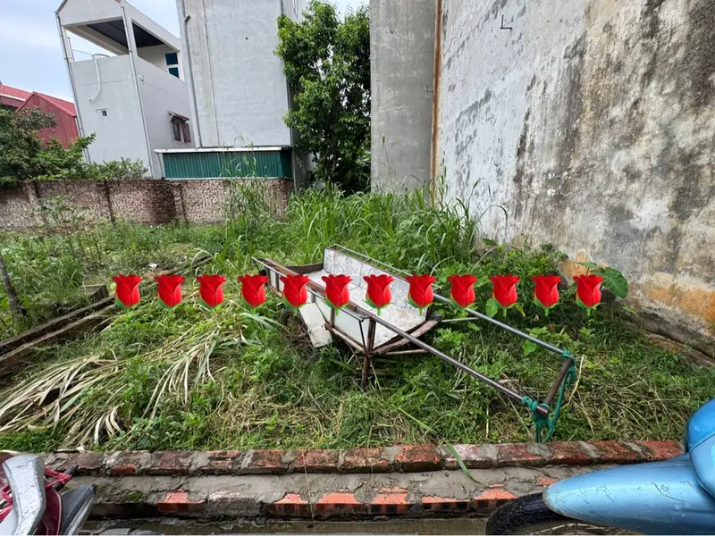 Cơ hội sở hữu đất thổ cư Quang Minh, vị trí đẹp, giá tốt... Bán đất tại Quang Minh, Hà Nội 01