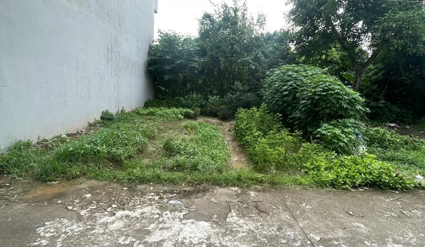 Bán Đất Thôn Trí Chung 66m² - Giá 5 Tỷ - Pháp Lý Cơ Sở, Mặt Tiền 6.6m, Đường 4m... Bán đất tại Như Quỳnh, Hưng Yên 01