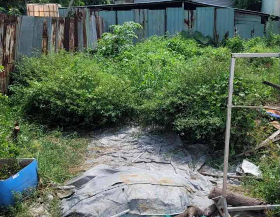 Đất mặt tiền Đông Thạnh, rộng 120m² giá ưu đãi... Bán đất tại Đông Thạnh, Hồ Chí Minh 01
